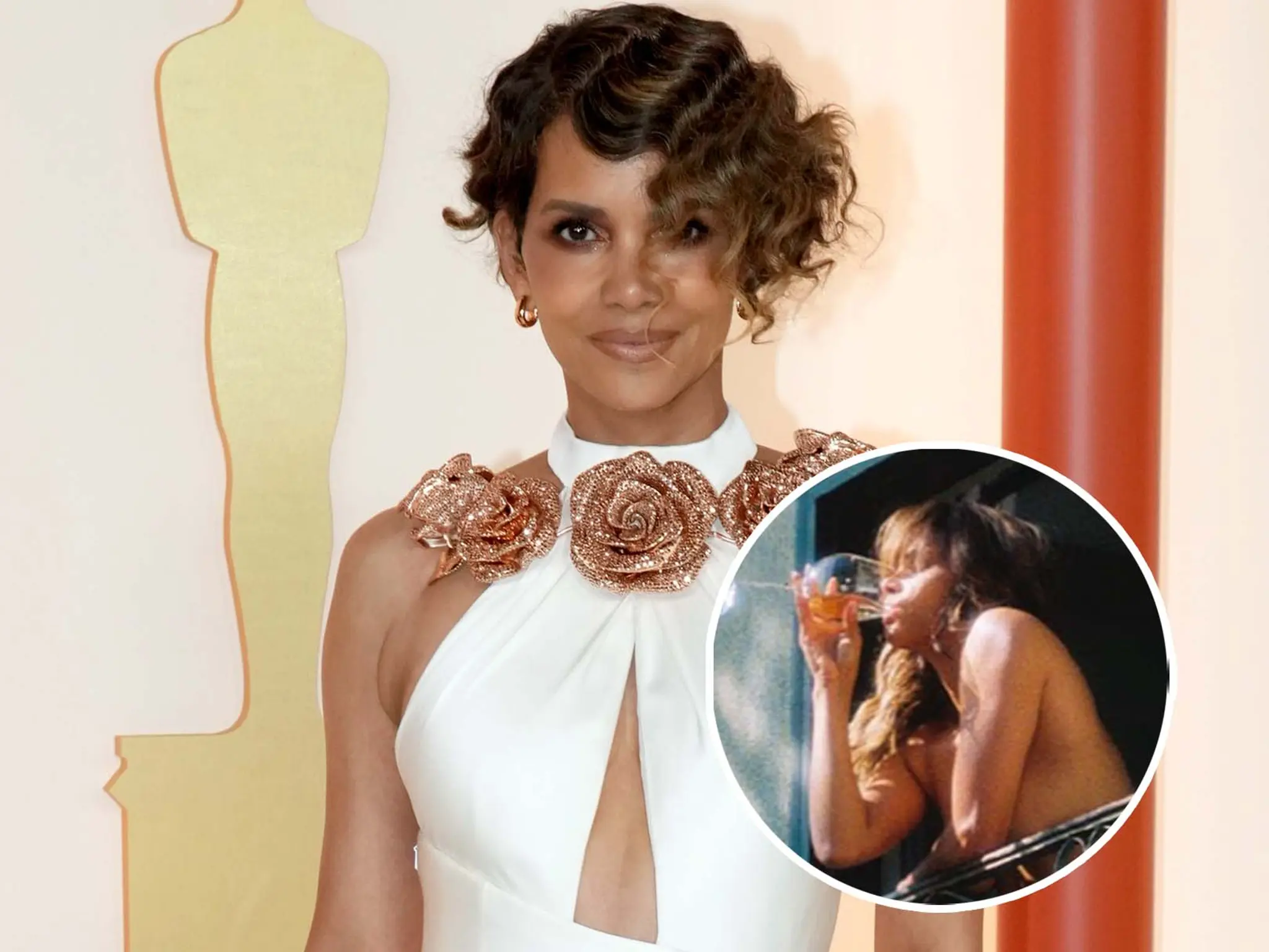 Halle Berry Responds Perfectly To Trolls After Posing Naked In A New Photo My Blog